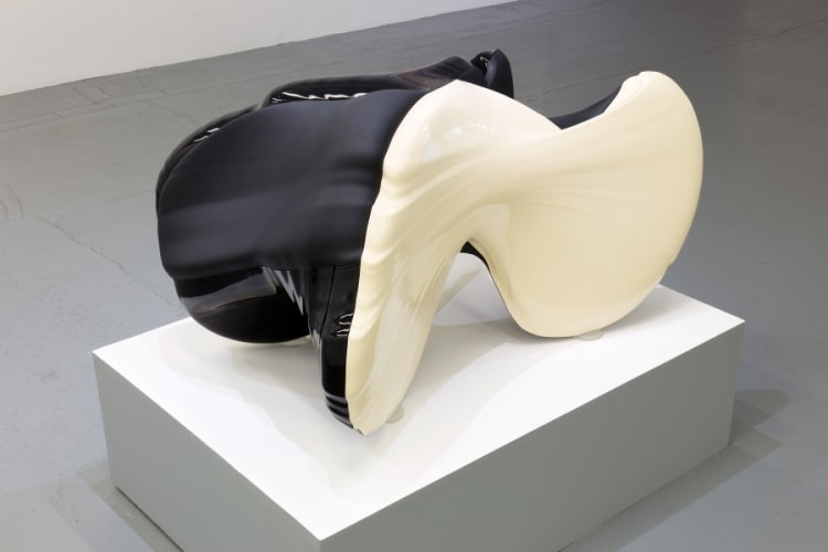 Body versus Os [Body versus Bone] (Paris, 2016)