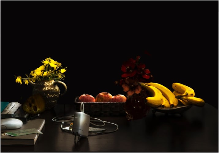 from the series "still-life"