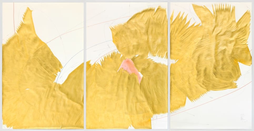 5 Cavallini - Sequences