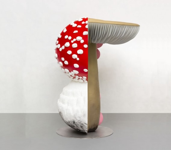 Giant Triple Mushroom