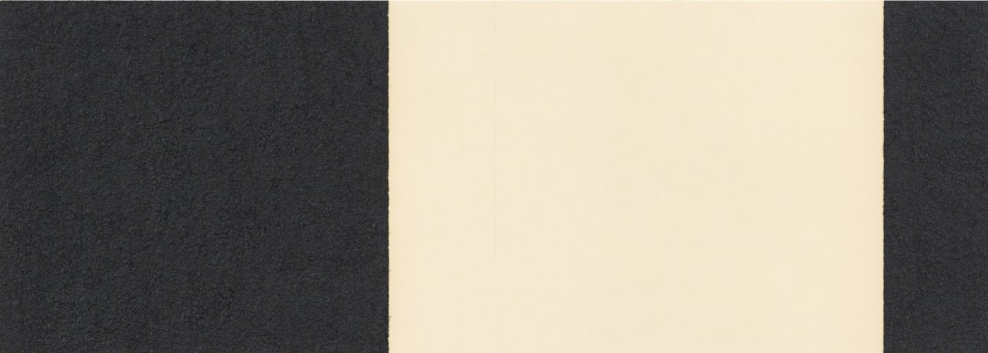 Horizontal Reversal VIII