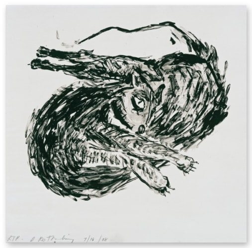 Twisted Cat