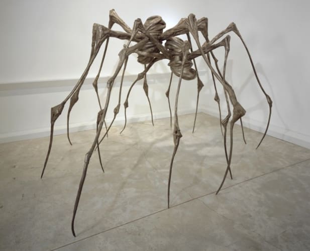 Spider Couple