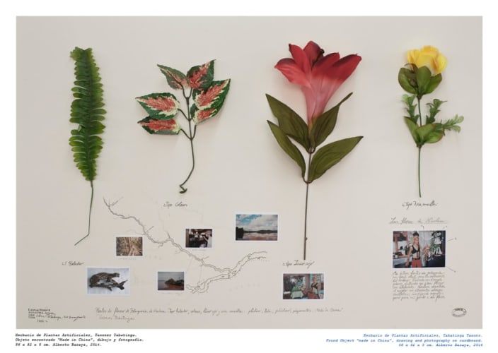 Taxones Tabatinga - Herbario de Plantas Artificiales