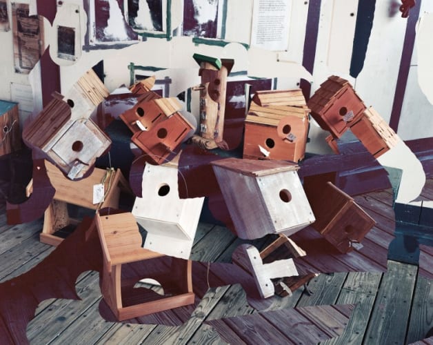 Given holes and holes and houses and birds