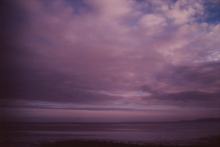 Lavender Landscape