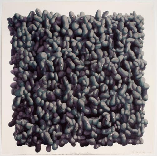 Cuadrado Negro de frijoles
