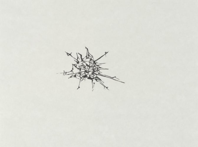 Radiolarian's from Scott's expedition