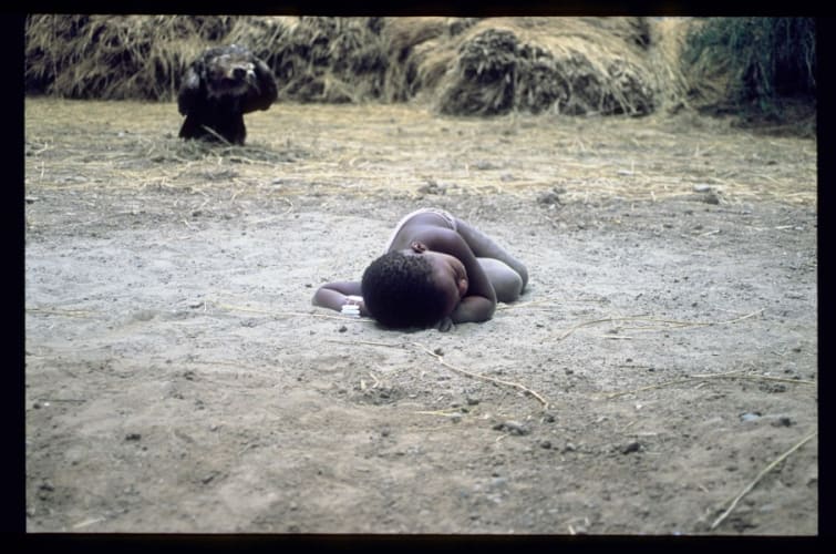 The Starving of Sudan 19