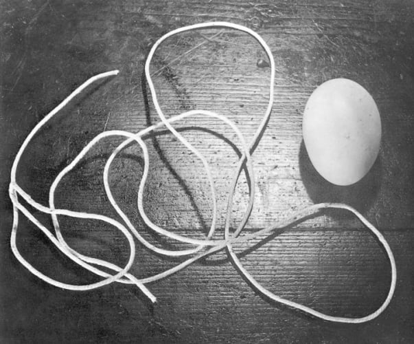 Egg and Twine