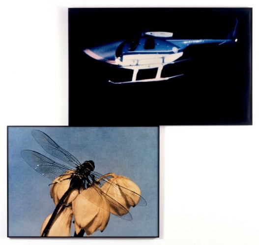 Helicopter and Dragonfly (Observing/Observed)