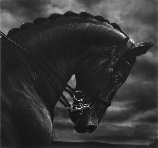 Untitled (Bucephalus)