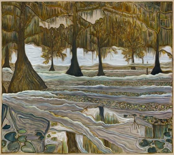 cypress swamp