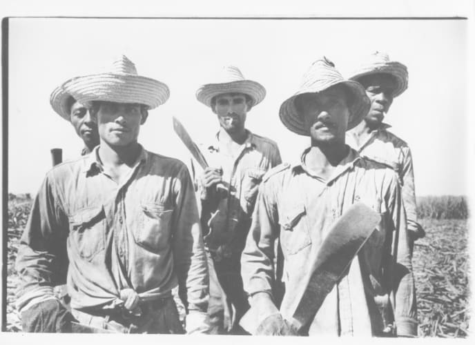 Cane cutters, between Santiago and Bayamo