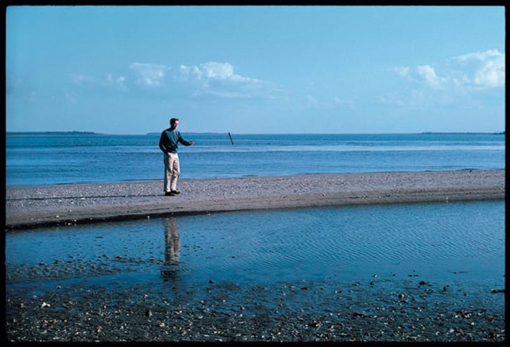 Jasper Johns. Edisto Beach