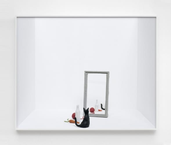 Untitled (cat and mirror)