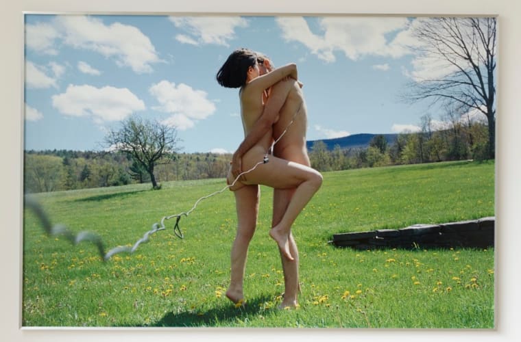 Untitled (Outdoor Sex #1)