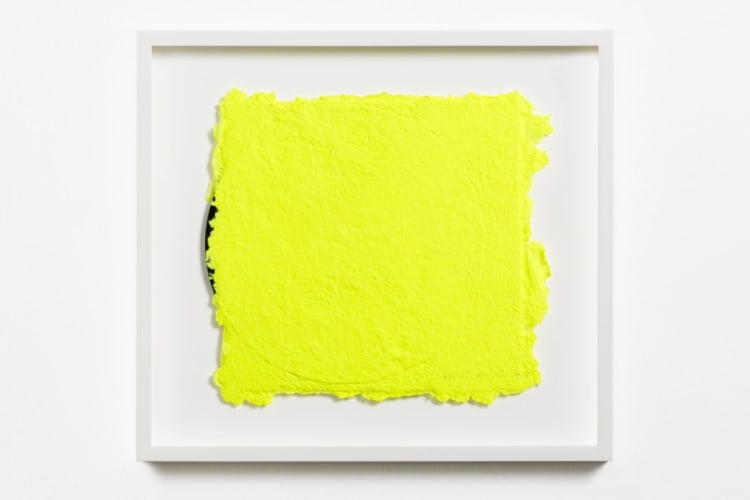 Yellow on a Vinyl 4