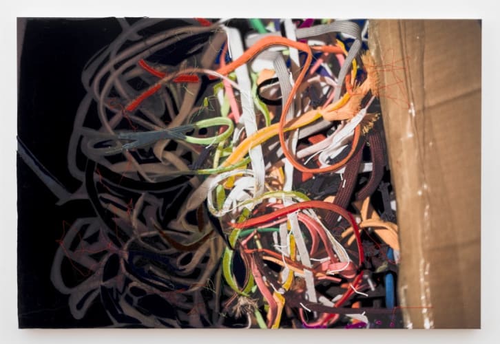 Decipher the Artist's Mind: Laces (Studio Nari Ward)