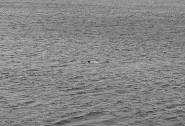 A Person as the territory_04