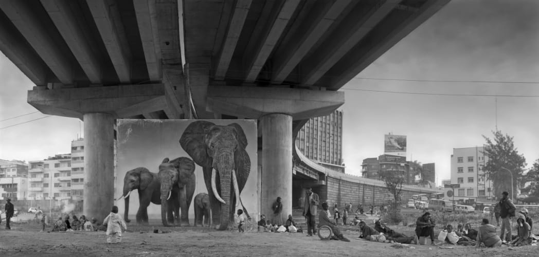 Underpass With Elephant (Lean back your life is on track)