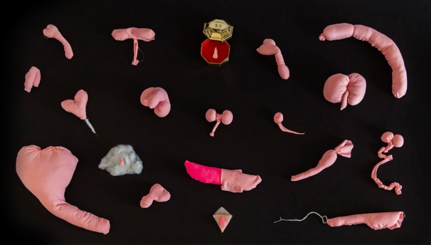 A Collection of Penes