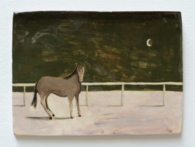 Horse beside Fence