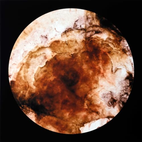 Primordial Awareness