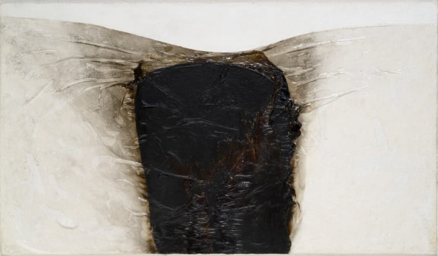 Combustione plastica