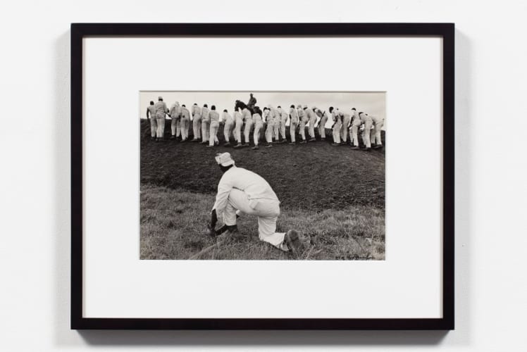 Hoe Sharpener and The Line, Ferguson, 1967