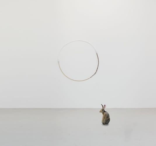 "ODA II” From de serie El horóscopo de Jesús