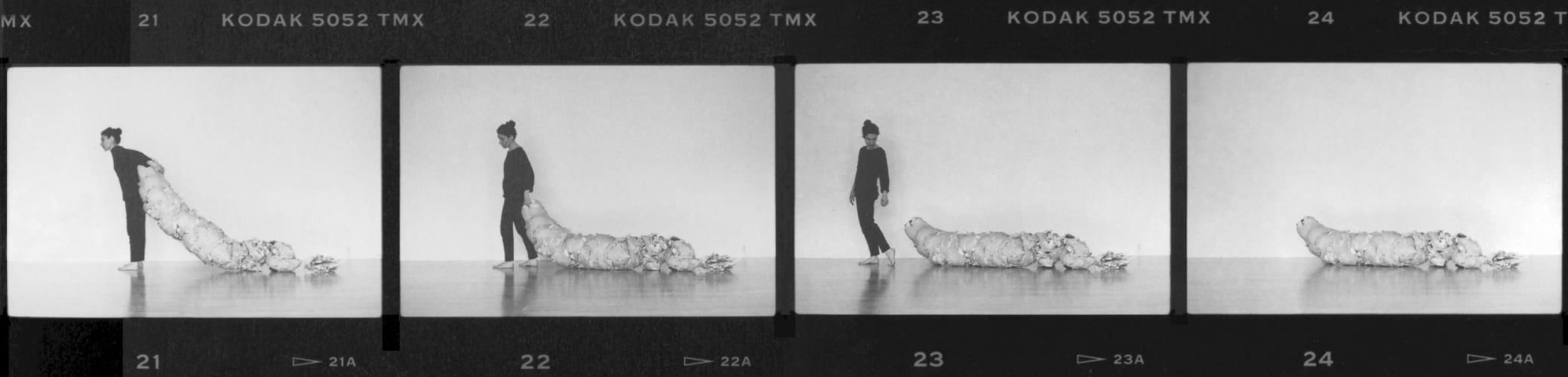 Untitled (Proto Condition - sequence)