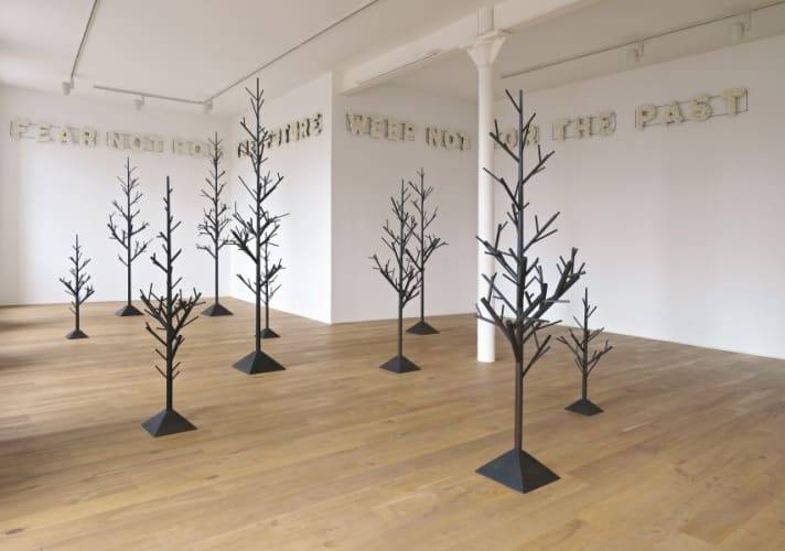 nineteen trees