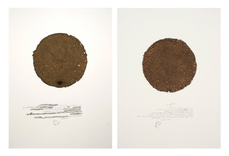 Soil (diptych) from the Room series,