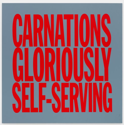 CARNATIONS GLORIOUSLY SELF SERVING
