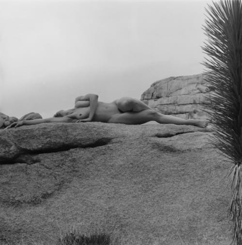 Lisa Lyon