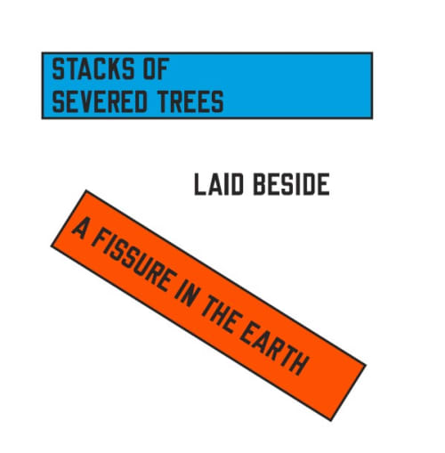 STACKS OF SEVERED TREES LAID BESIDE A FISSURE IN THE EARTH