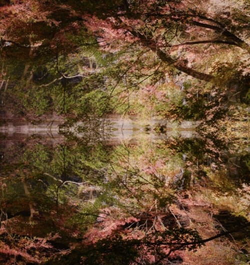 Floating World, Lost World 01