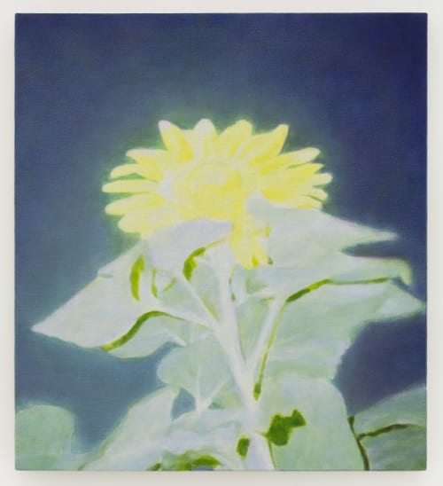 The Eye of The Fall, 2017