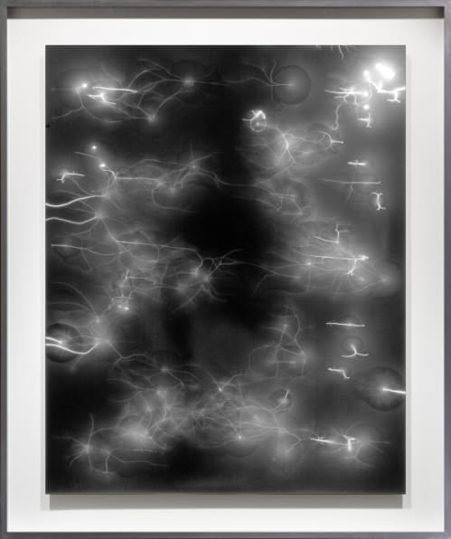 Lightning Fields 006