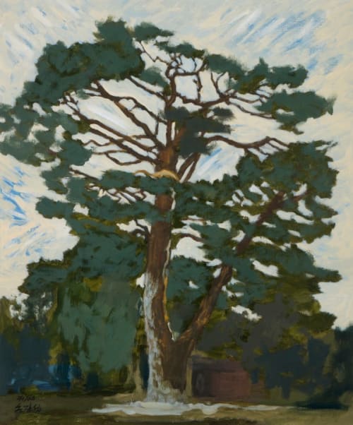 Pinus Densiflora in Eastern Coast