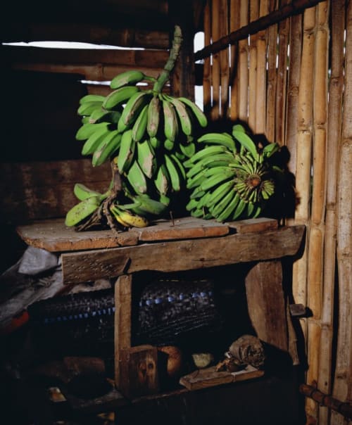 Platanos, Home of Rafael, Playa Duaba, Baracao (Cuba)