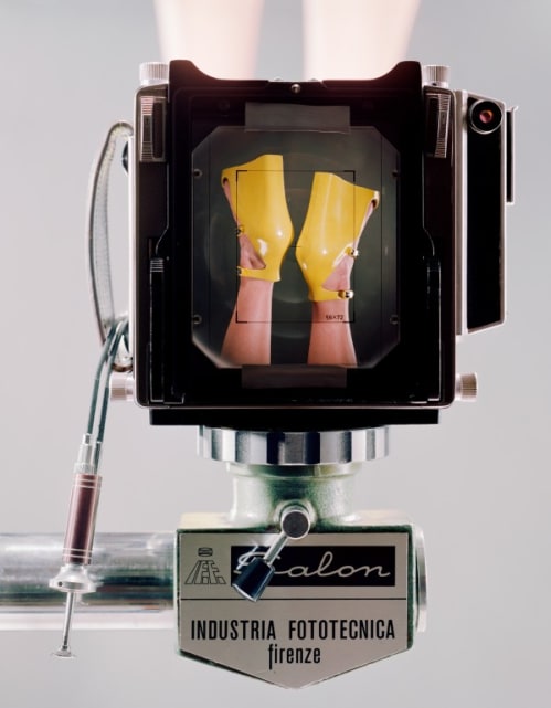 Linhof Technika V fabricated in Munich, Germany. Salon Studio Stand fabricated in Florence, Italy. Dual cable release. Prontor shutter. Symar-s lens 150mmm/f 5.6 Schneider kreuznach. Sinar fresnel lens placed with black tape on the ground glass. (Yellow)