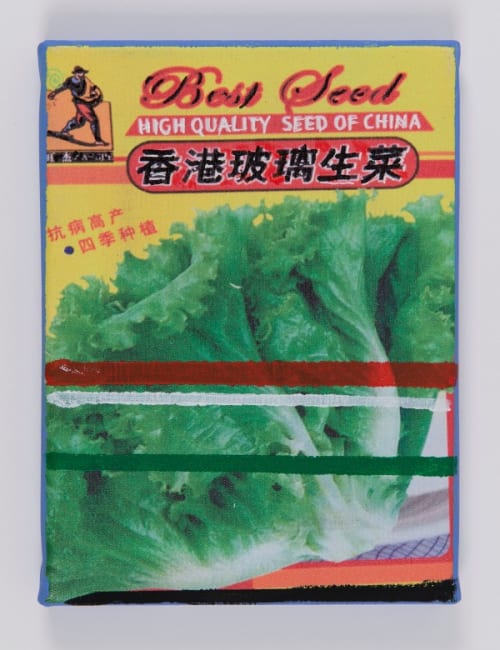 Chinese cabbage, from Seed bag series