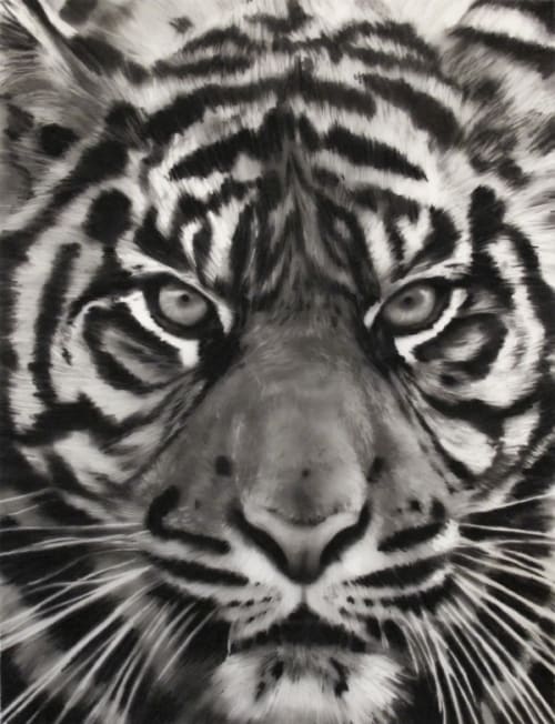 Study for Tiger Head (No. 1B)