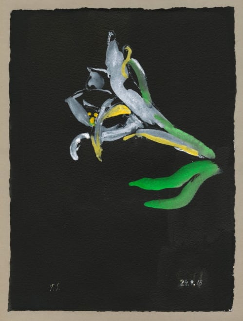 Schwarze Blumen