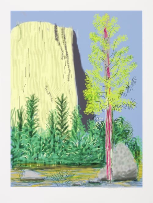 The Yosemite Suite No.22