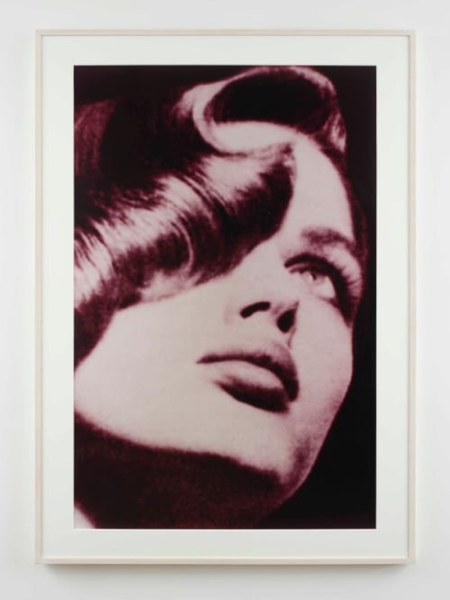 Untitled (Fashion)