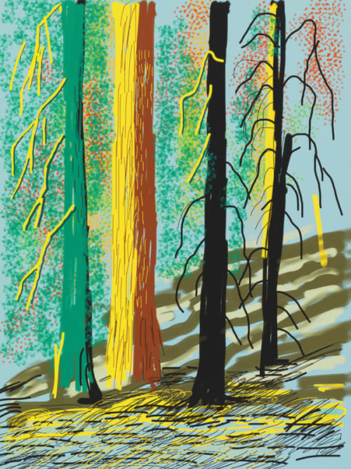 Untitled No.7 from The Yosemite Suite