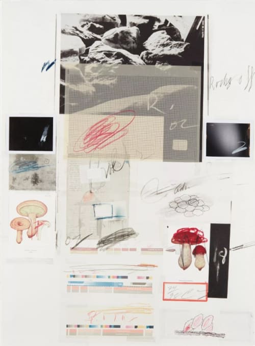 Cy Twombly | Natural History Part I Mushrooms/No.X, 1974